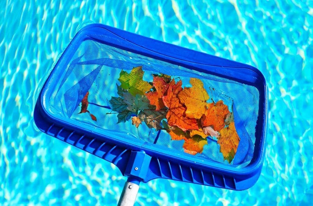 Seasonal Pool Cleaning Service in Allen: Tips for Winter, Spring, Summer, and Fall