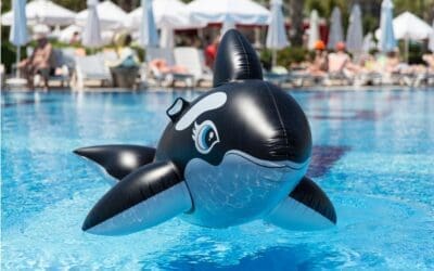 11 Stunning Black Pool Float for a Memorable Pool Bash