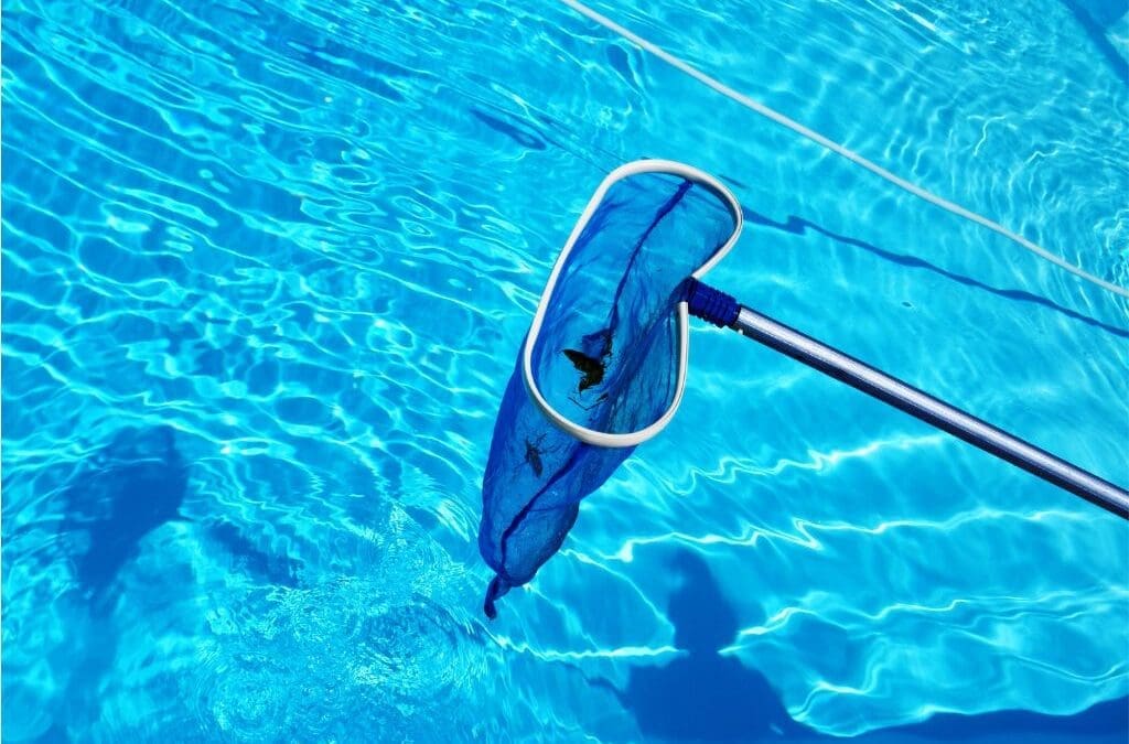 Bug Cleaner for Pool: Top 10 Guaranteed Strategy to Try for Crystal Clear Water