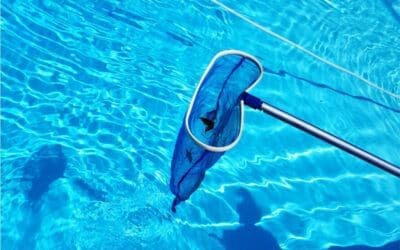 Bug Cleaner for Pool: Top 10 Guaranteed Strategy to Try for Crystal Clear Water